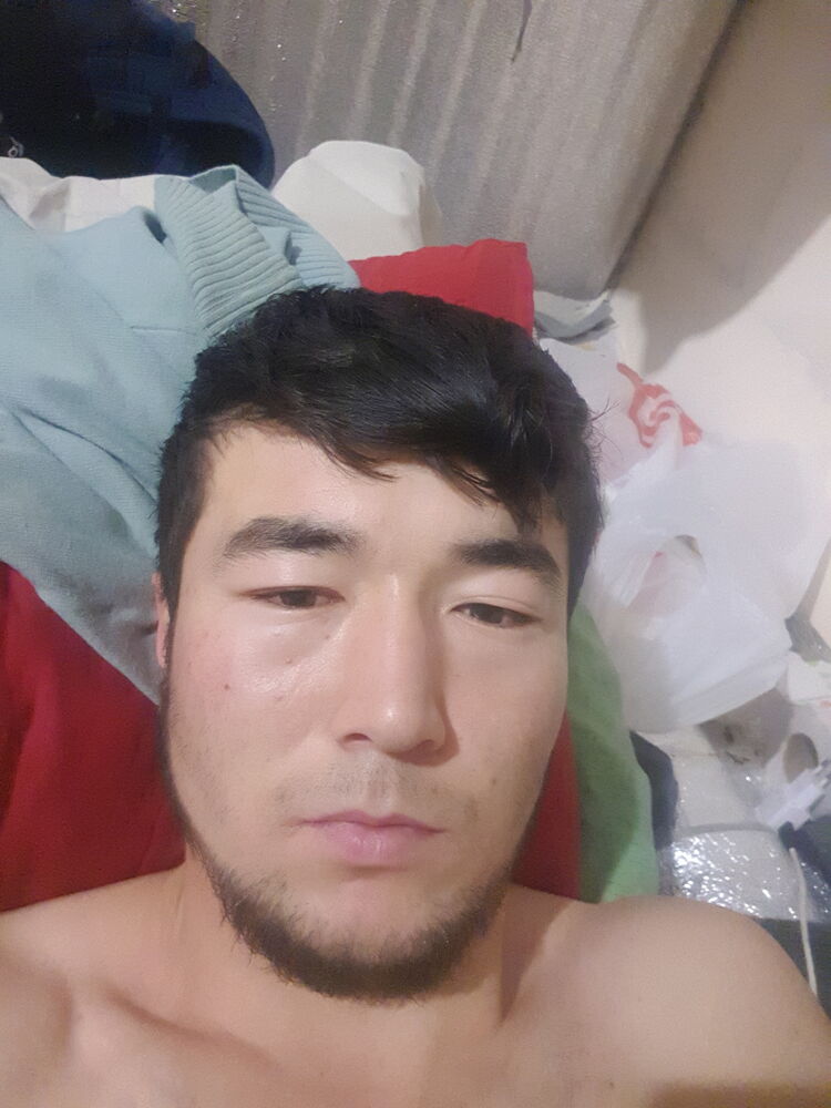  31454366  , 26 ,    