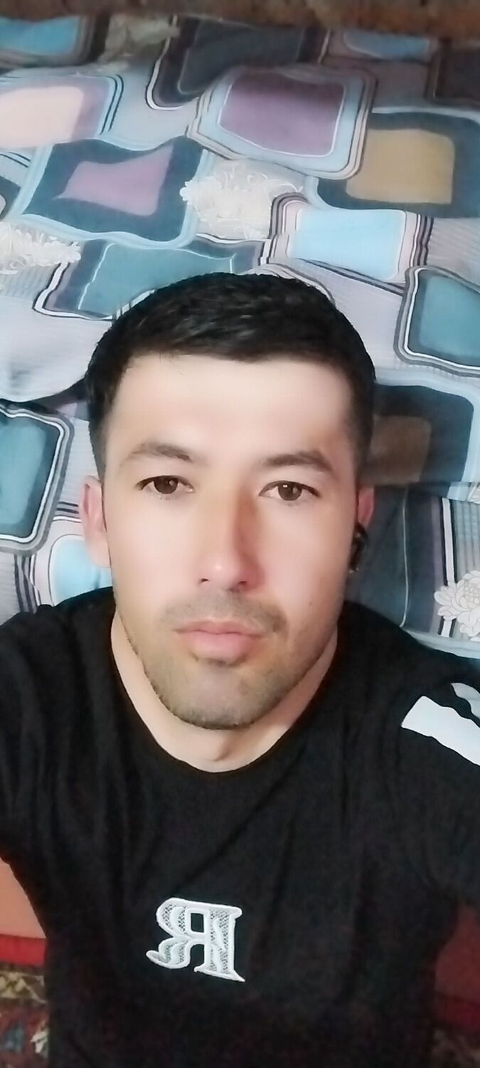  44505616  , 31 ,    