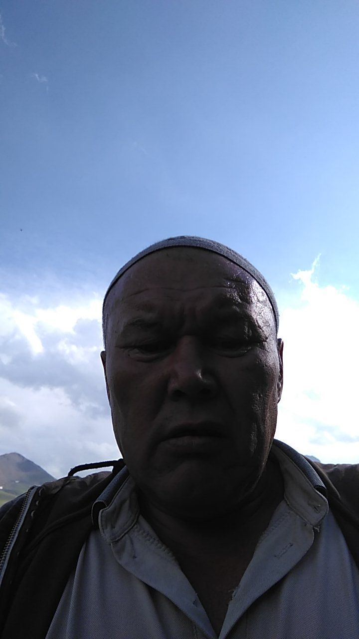  27939446  , 55 ,    