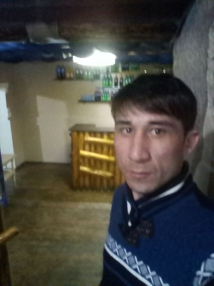  15047646  , 33 ,    