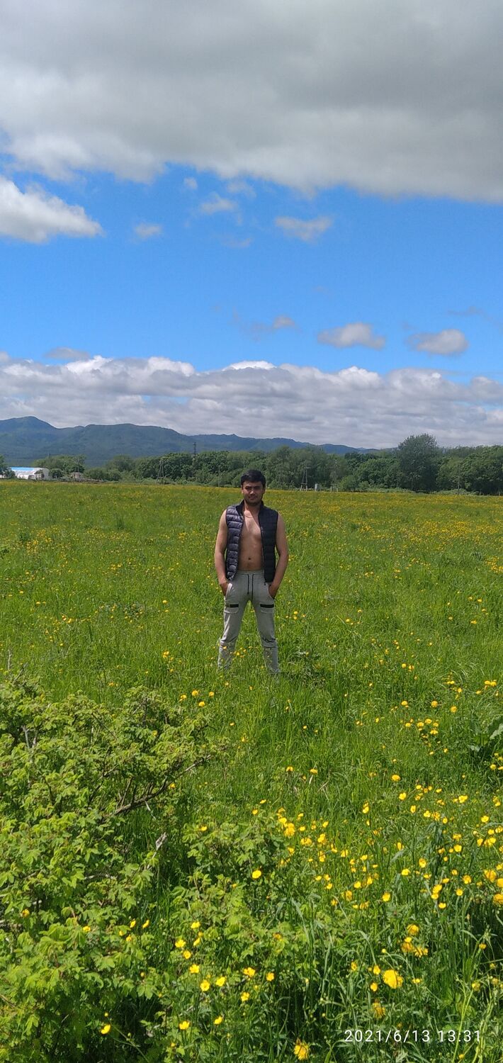 ���� 23773186 ������� �����, 29 ���, ���� ���������� � ����-����������