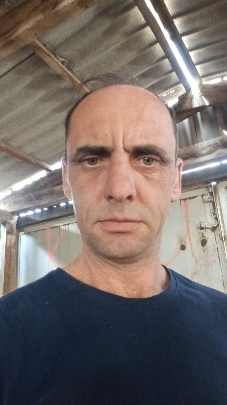  52250676  , 42 ,    