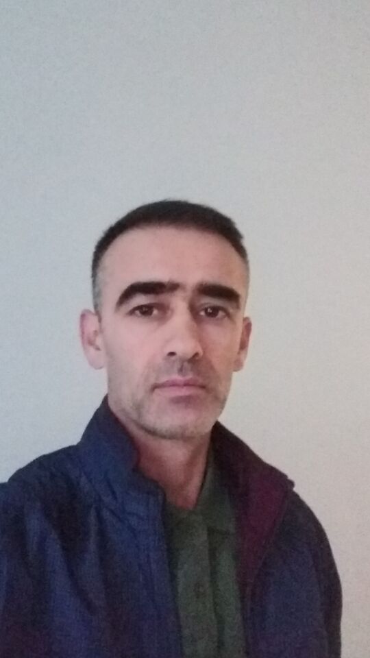  22978656  , 41 ,    