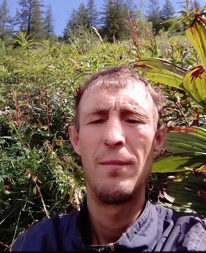 ���������� �������, ���� ������� ������, 40 ���, ������������ ��� ����� � ���������, c�������� ���������