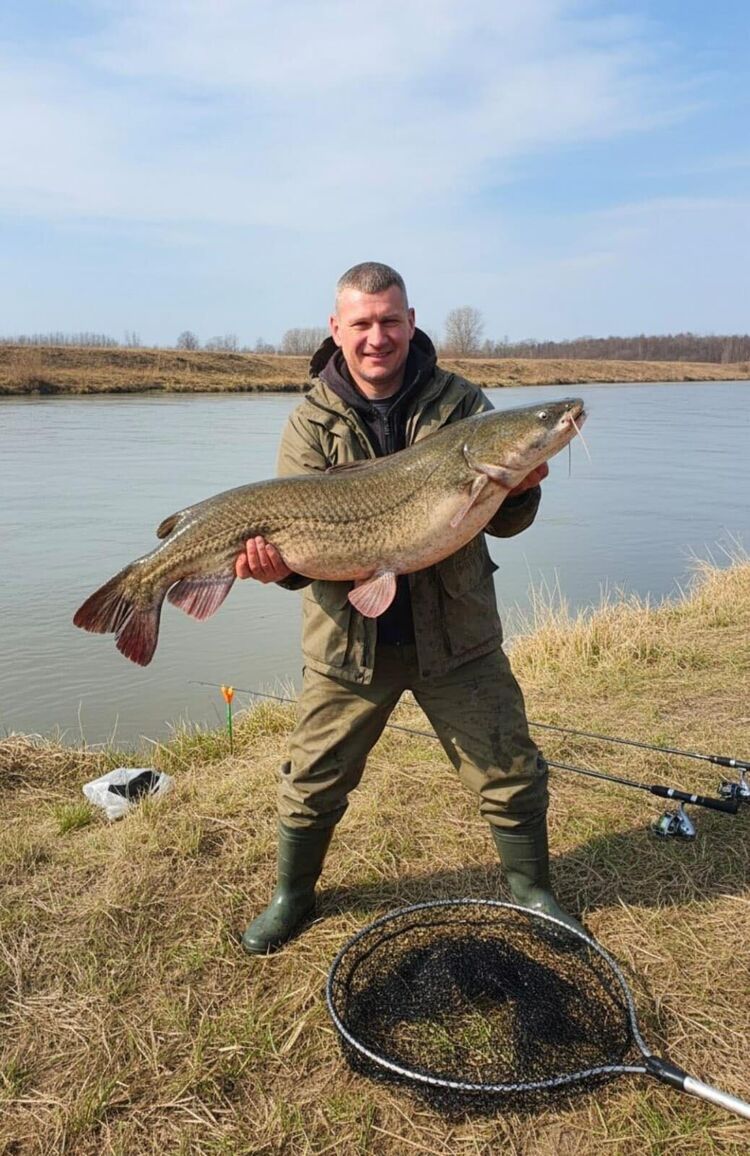 ���� 54794046 ������� ����, 45 ���, ���� ���������� � �������-��-����