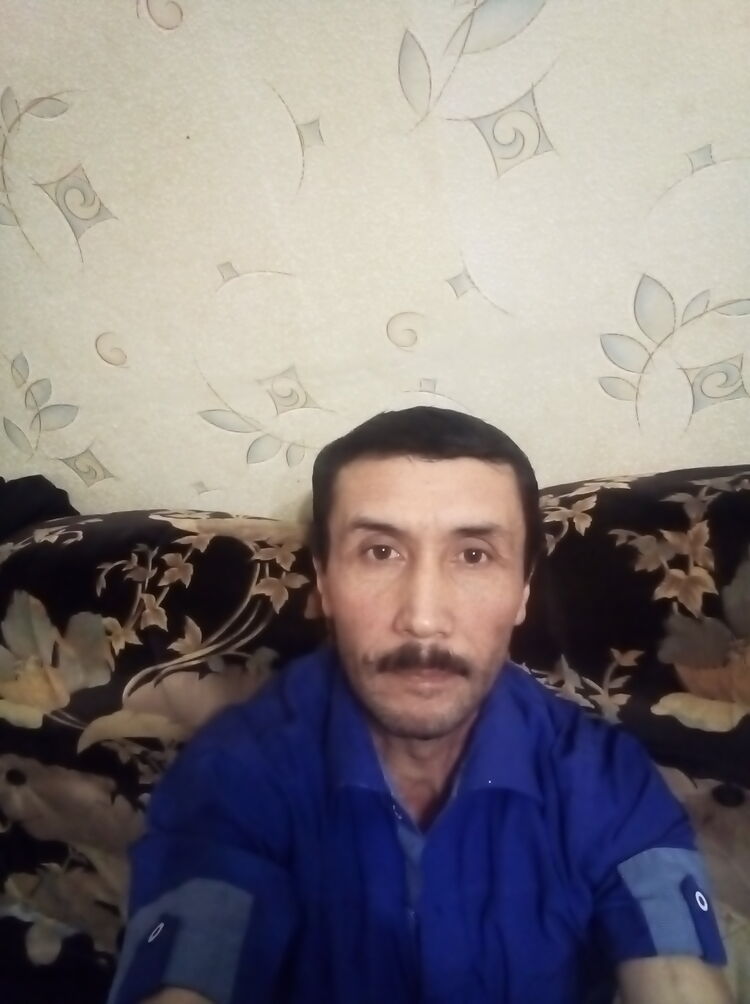  24381216  , 54 ,    