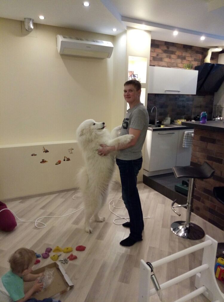 ���������� ������, ���� ������� �������, 34 ����, ������������ ��� ������, ����� � ���������, c�������� ���������