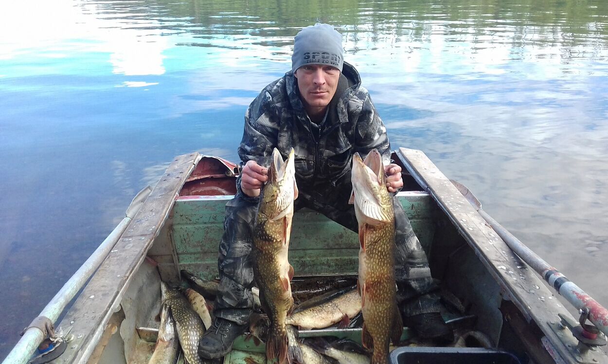  29617896  Alexey, 43 ,    -