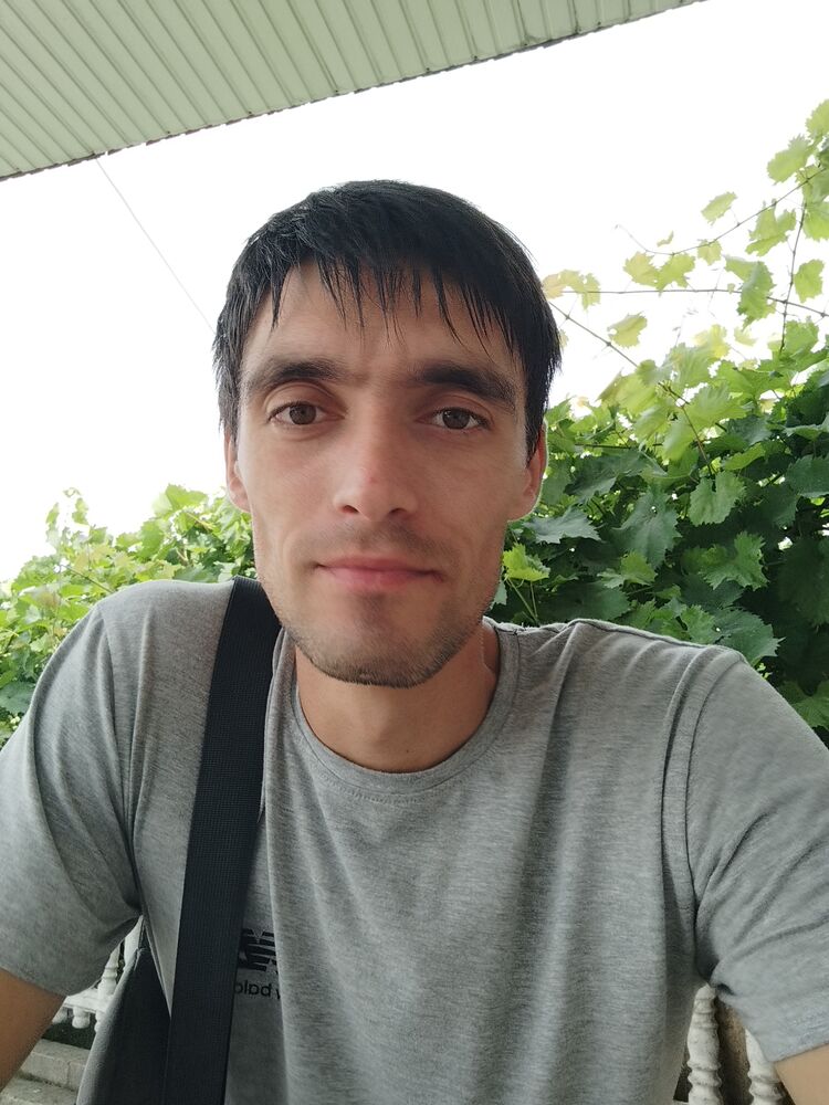  40313376  , 31 ,    