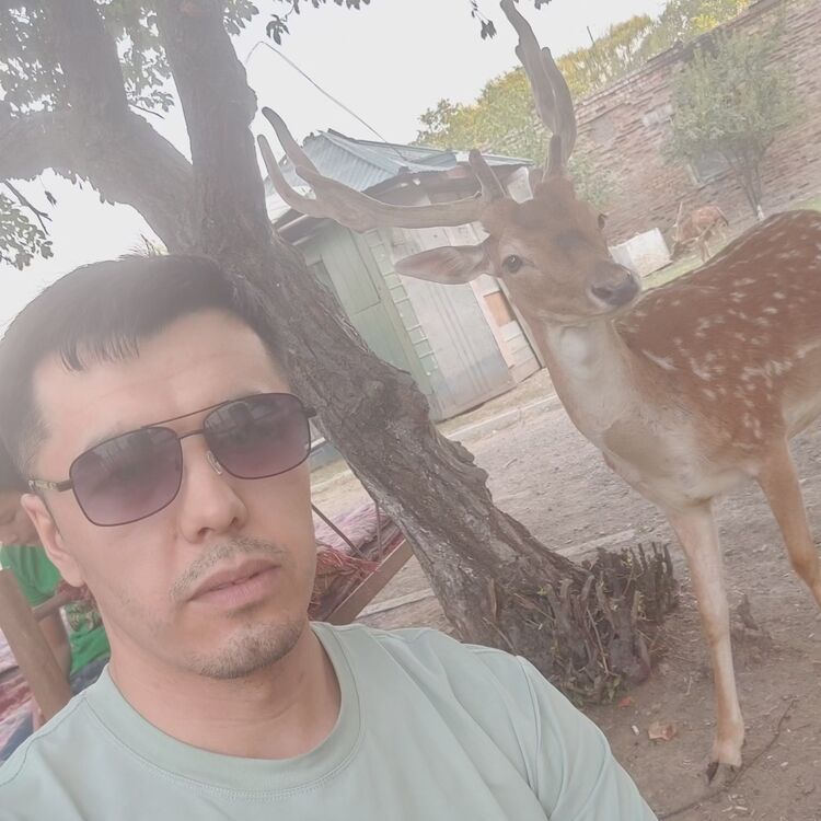 ���� 42357496 ������� ������� ����, 32 ����, ���� ���������� � �����-����������