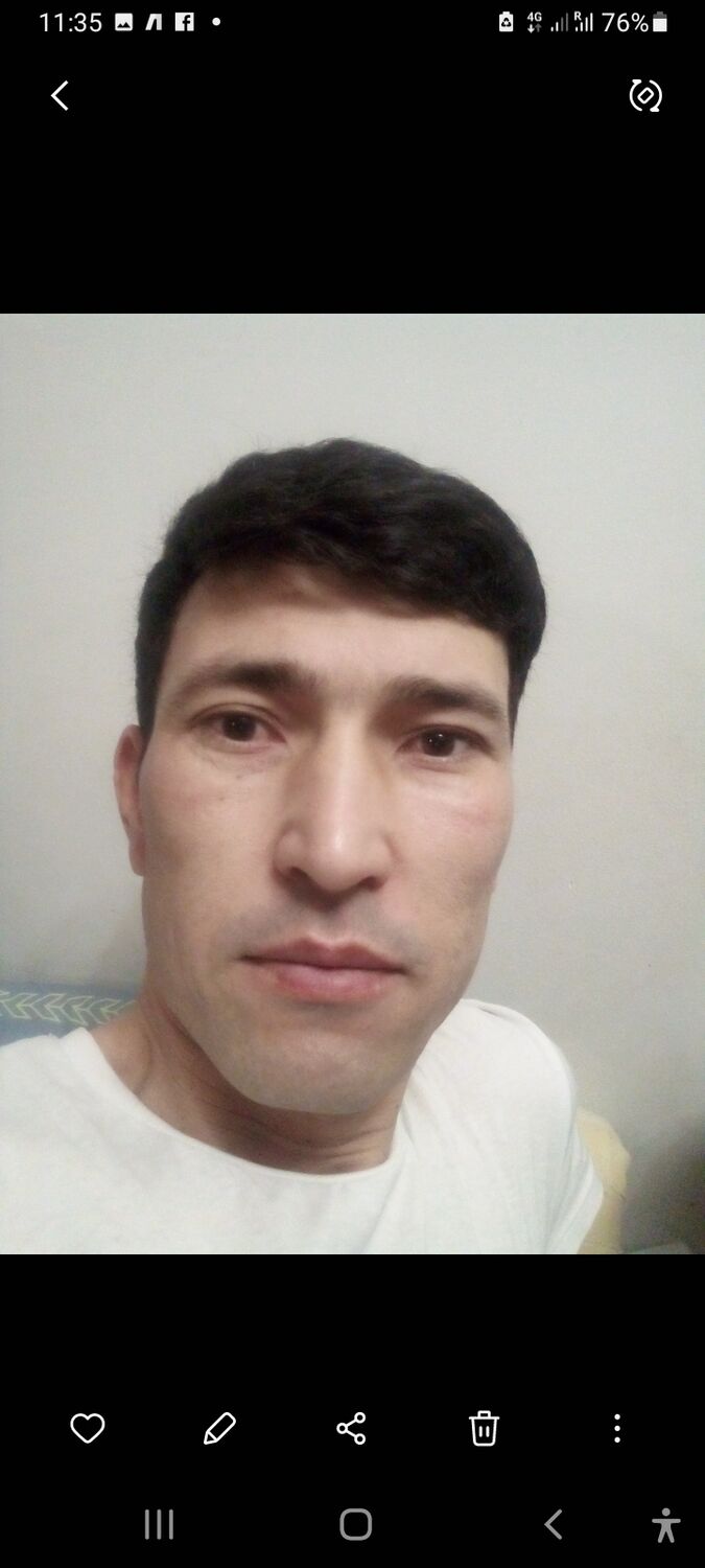  42428446  , 38 ,    