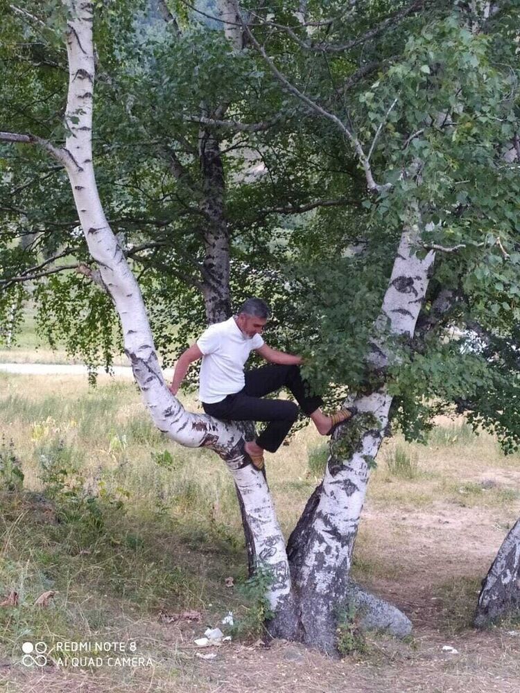 ���� 20530186 ������� �����, 53 ����, ���� ���������� � ������