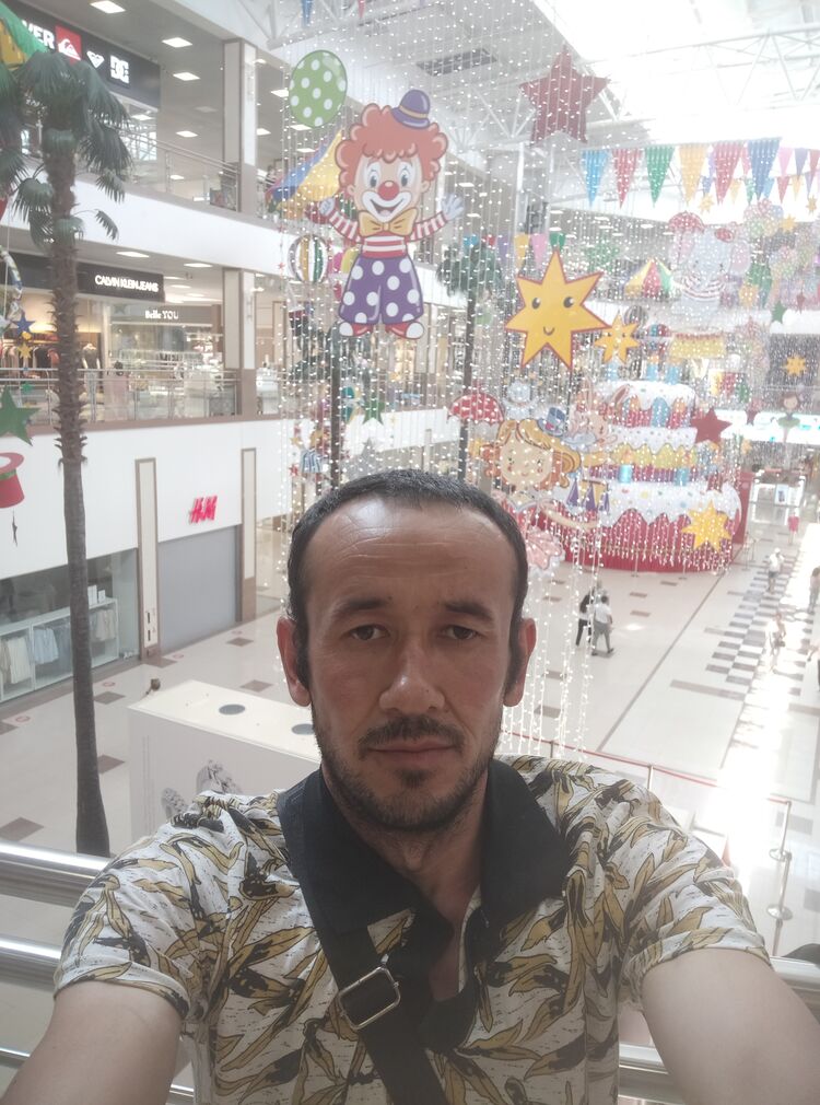  28516006  , 40 ,    