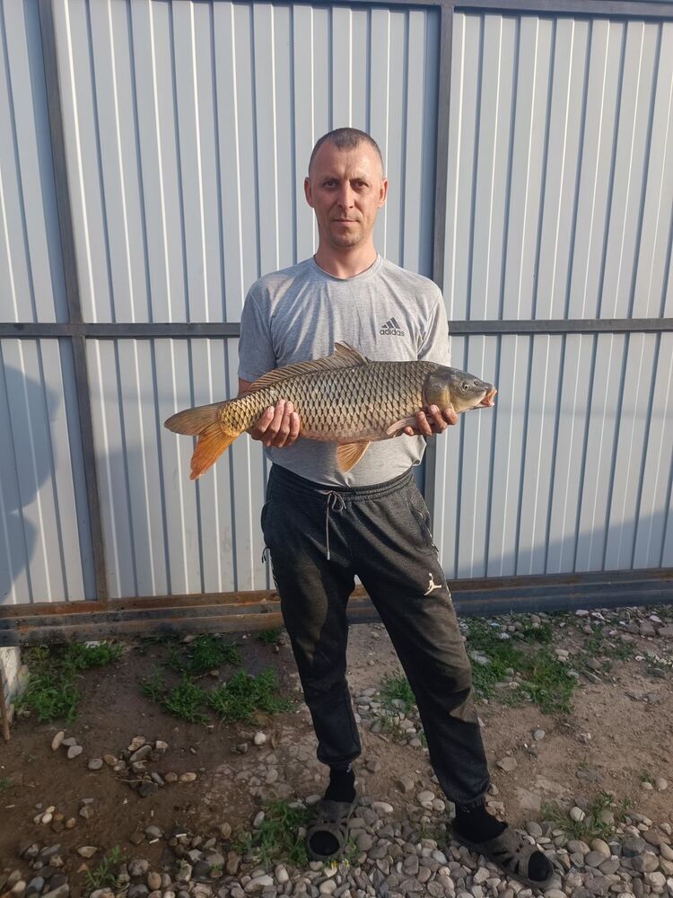 ���������� ���������, ���� ������� ������, 39 ���, ������������ ��� ������, ����� � ���������, c�������� ���������