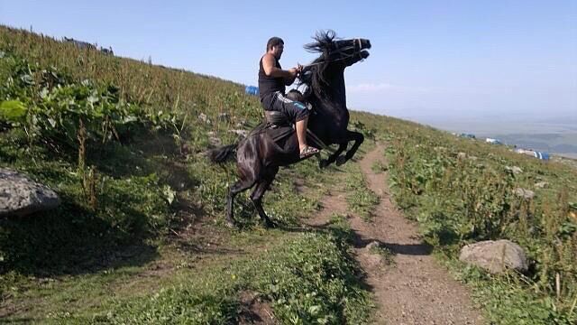 ���� 36268386 ������� Rasim, 42 ����, ���� ���������� � ����