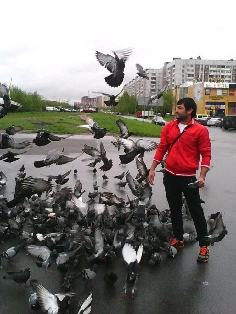 ���� 45652286 ������� �����, 35 ���, ���� ���������� � �����-����������