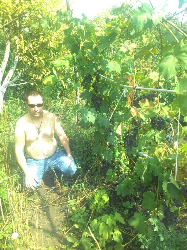 ���� 20048246 ������� �����, 51 ���, ���� ���������� � ����������