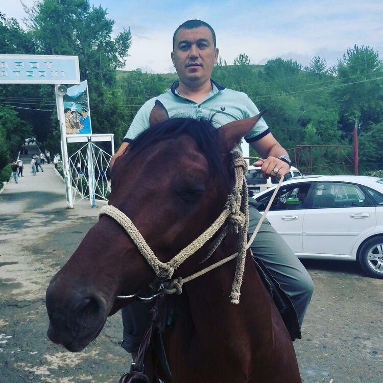 ���������� �����-���������, ���� ������� �������, 38 ���, ������������ ��� ������, ����� � ���������