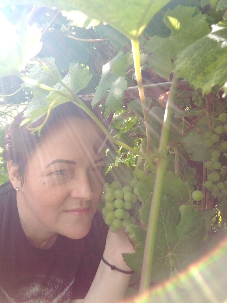 ���� 55769686 ������� ����, 43 ����, ���� ���������� � ����