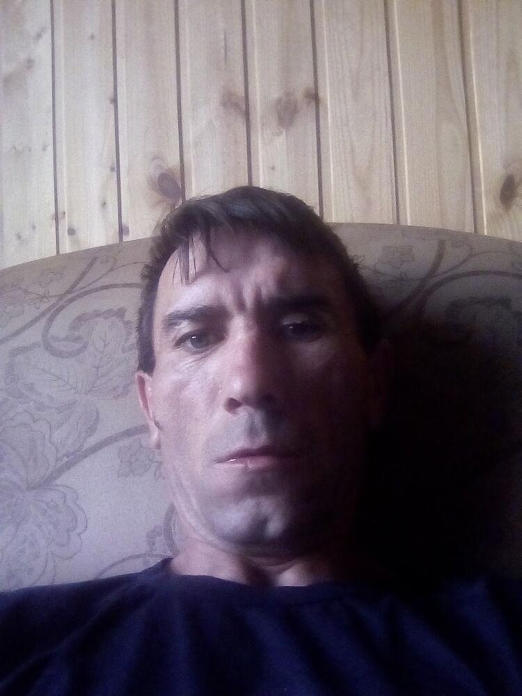  13368686  , 49 ,    