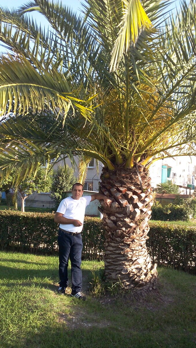  ,   Liparit, 40 ,   ,   , c 