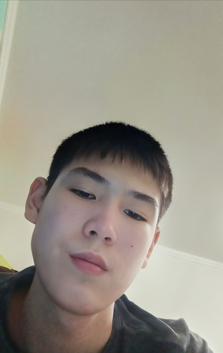  41304256  , 37 ,    