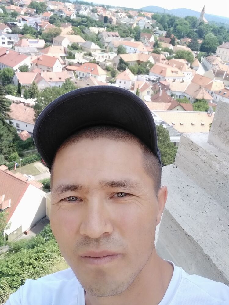  36265636  , 37 ,    