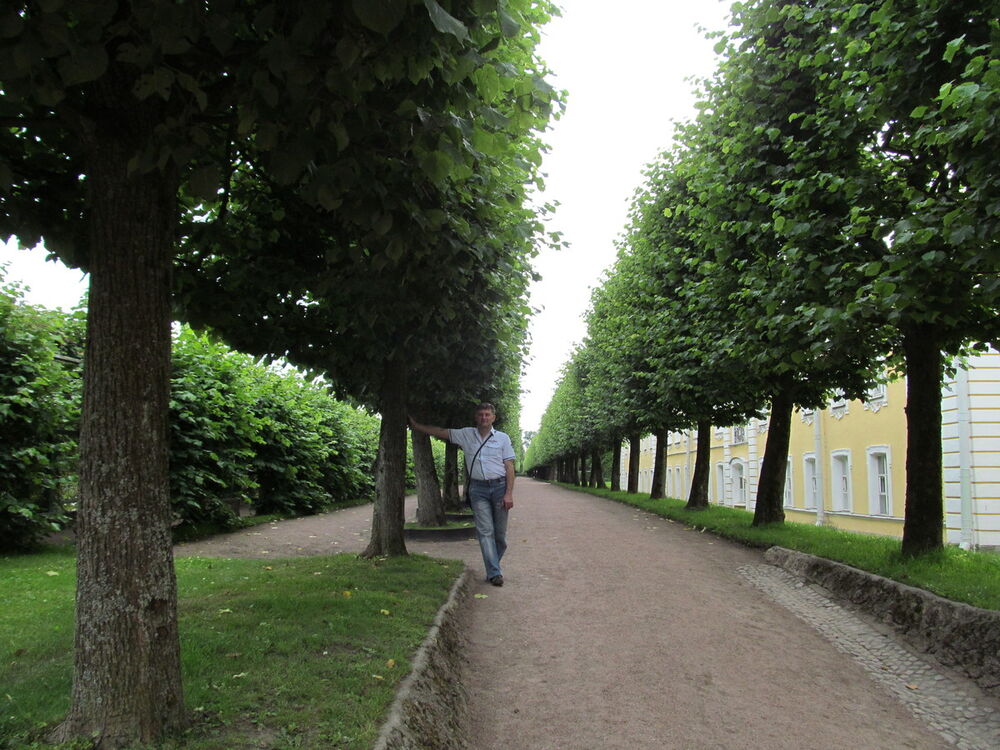 ���������� �����-���������, ���� ������� ������, 56 ���, ������������ ��� ����� � ���������, c�������� ���������