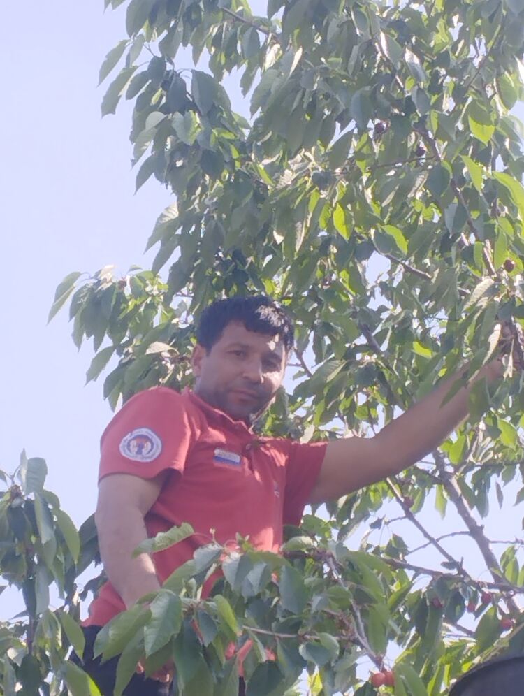 ���� 45250796 ������� Samid, 38 ���, ���� ���������� � ������ ���������