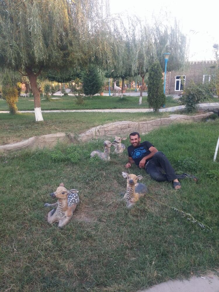 ���� 8387346 ������� 994507631986, 42 ����, ���� ���������� � ����