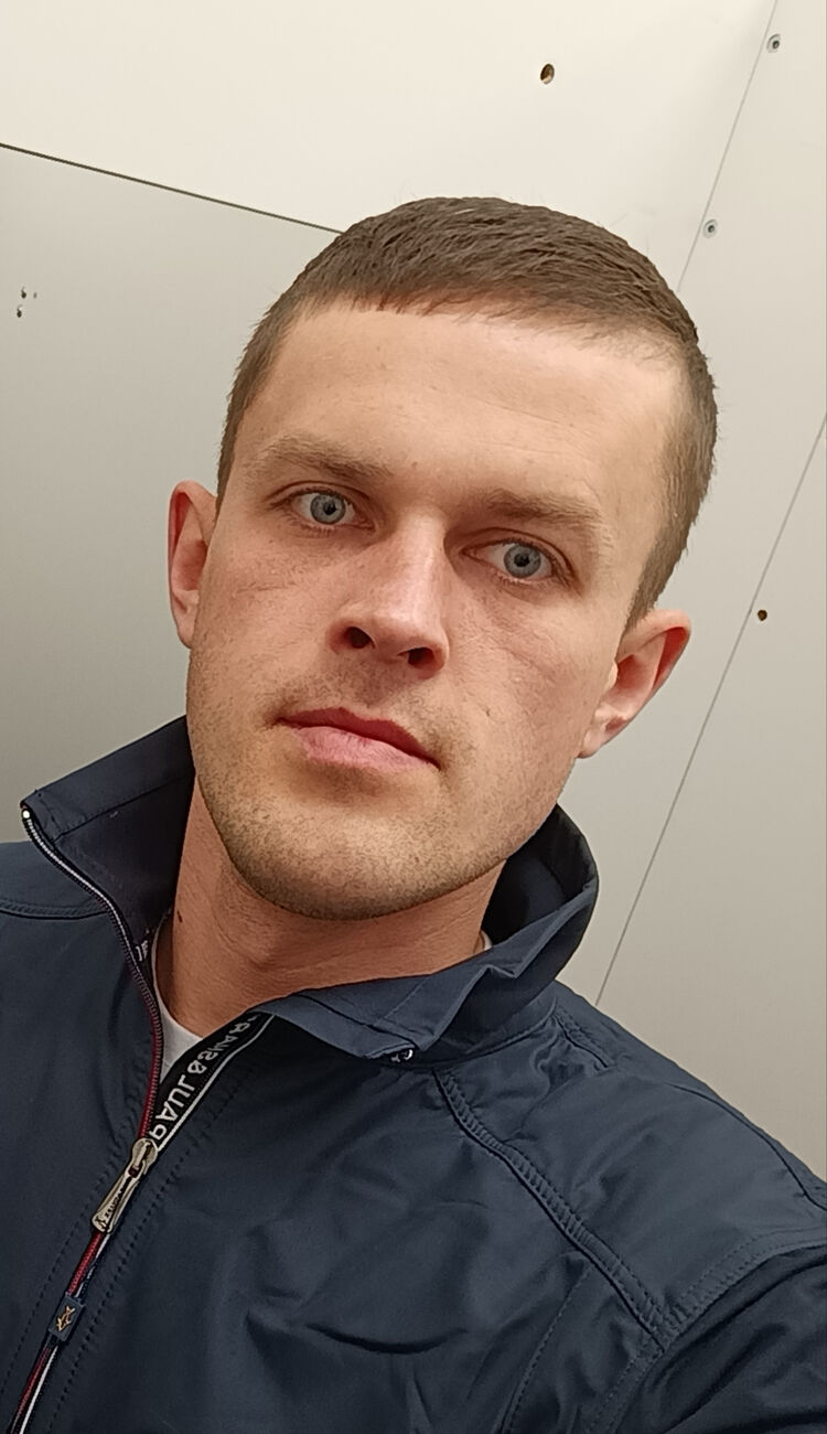  33805946  , 31 ,    
