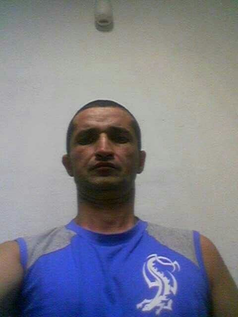  15907496  , 49 ,    