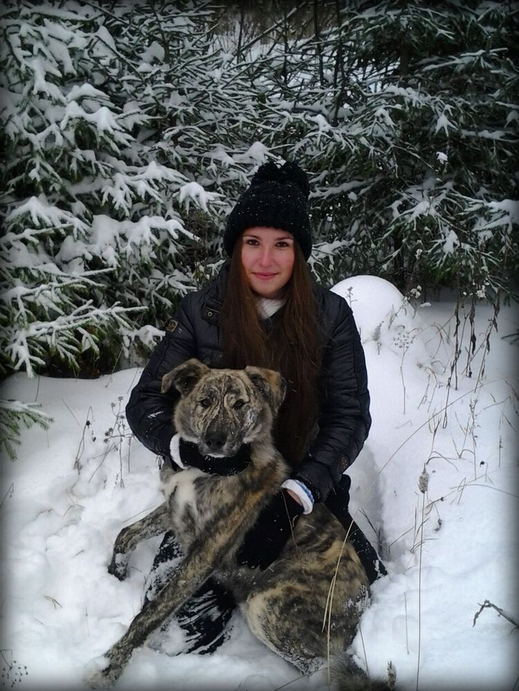 ���� 55993496 ������� Regina, 35 ���, ���� ���������� � ���������-��-������