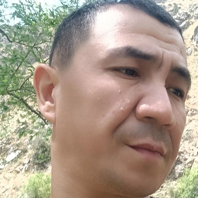  50063706  , 41 ,     