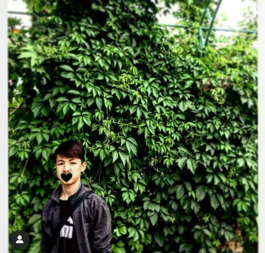  17051636  , 24 ,    