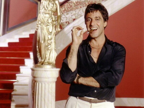 ���� 6737146 ������� Roma, 44 ����, ���� ���������� � ����