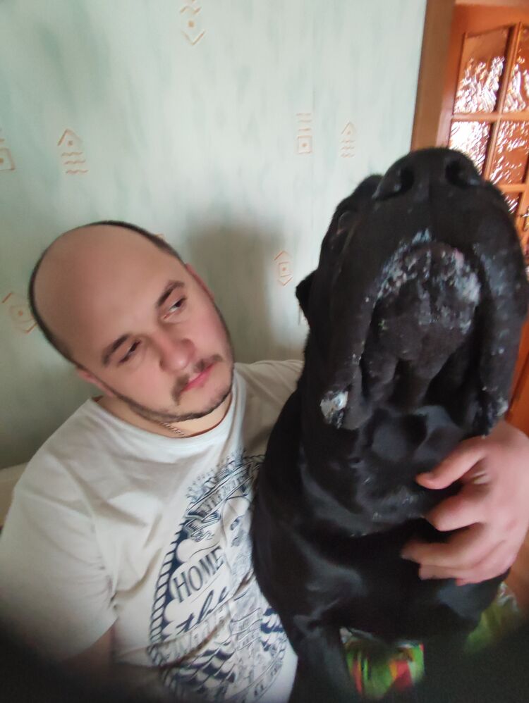 ���� 26082876 ������� ����, 36 ���, ���� ���������� � ������