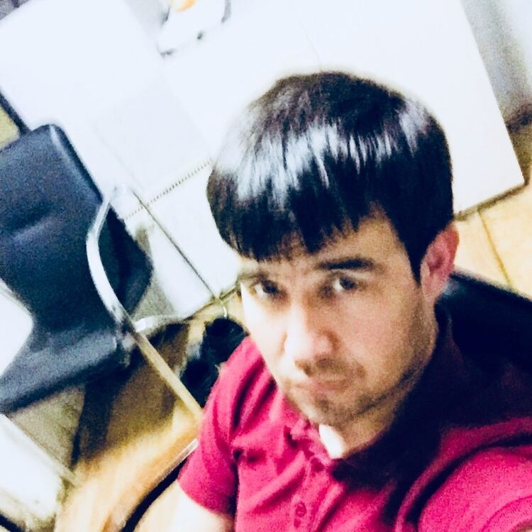 ���� 55978376 ������� �����, 33 ����, ���� ���������� � ����