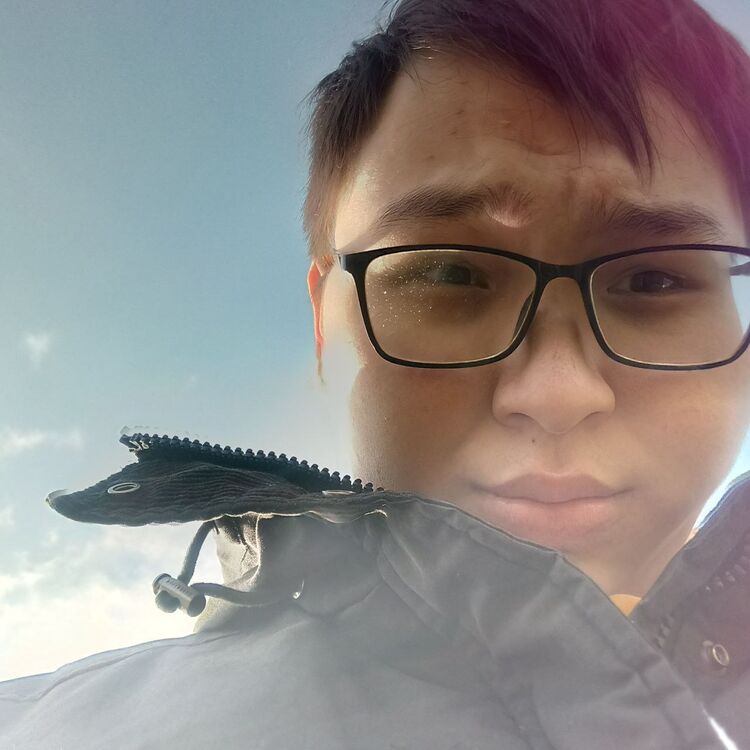 ���������� �����-���������, ���� ����� ������, 19 ���, ������������ ��� ���������