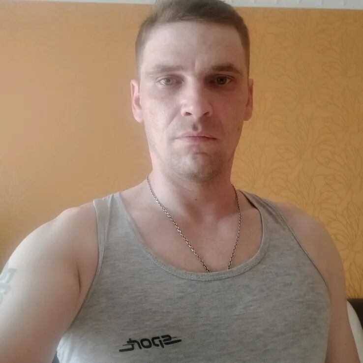  52590036  , 43 ,    