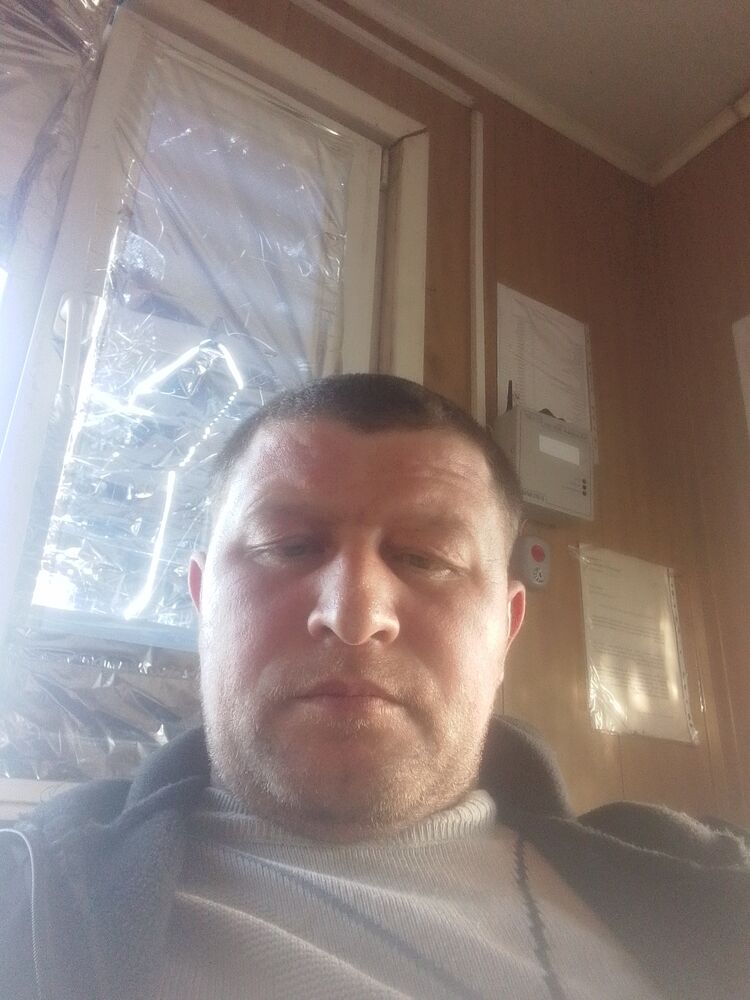  50479726  , 38 ,    --