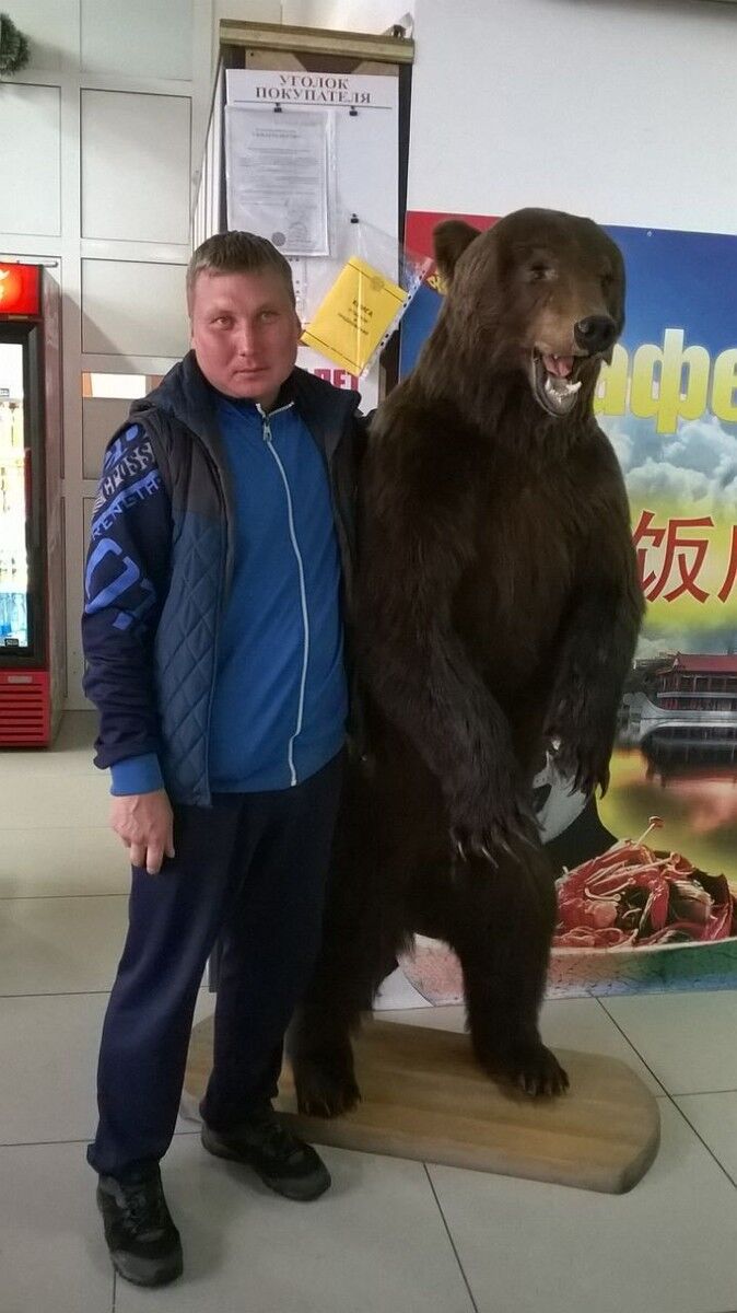 ���� 17143206 ������� ���������, 42 ����, ���� ���������� � ��������