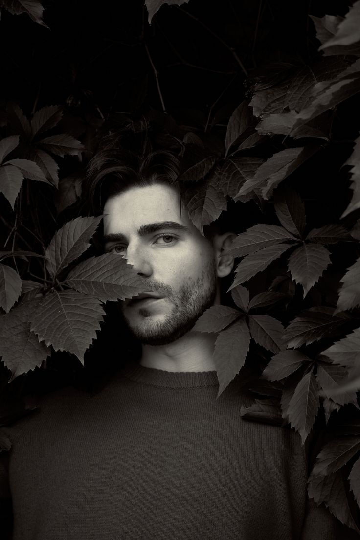 ���� 55956616 ������� ����, 42 ����, ���� ���������� � �������������