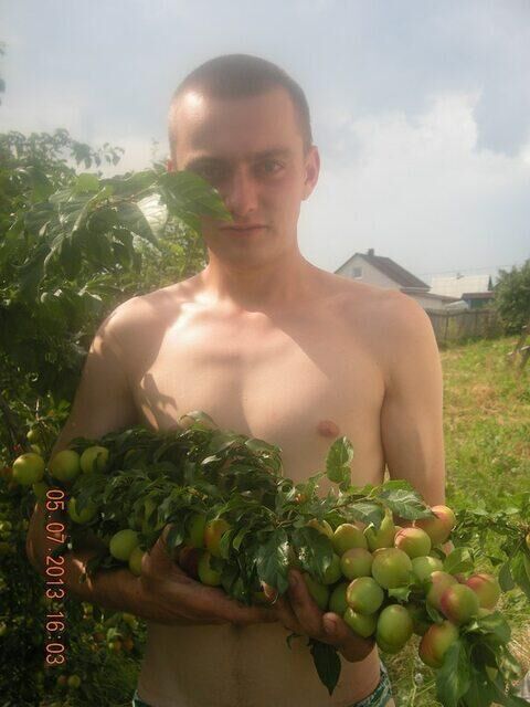  40502636  , 34 ,    