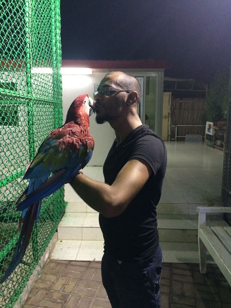  6690956  Falcon 27, 40 ,    