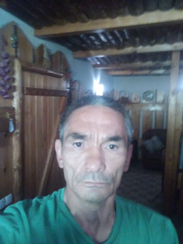  23346626  , 58 ,    
