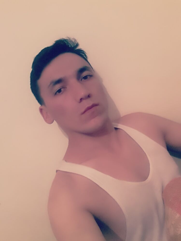  48042676  , 33 ,    -