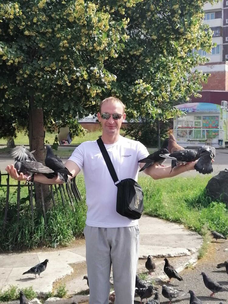 ���������� �����-���������, ���� ������� �����, 40 ���, ������������ ��� ����� � ���������, c�������� ���������