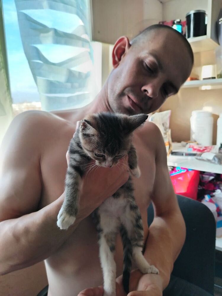 ���������� �����-���������, ���� ������� �����, 32 ����, ������������ ��� ����� � ���������, c�������� ���������, ���������