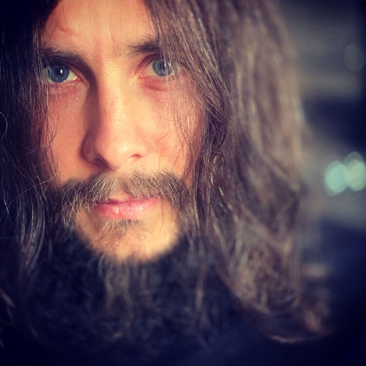 ���� 27173536 ������� ���������, 41 ���, ���� ���������� � �����-����������